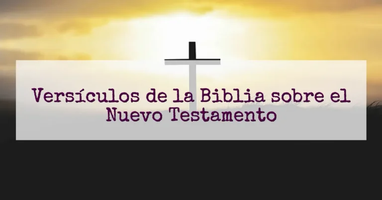 Versículos de la Biblia sobre el Nuevo Testamento