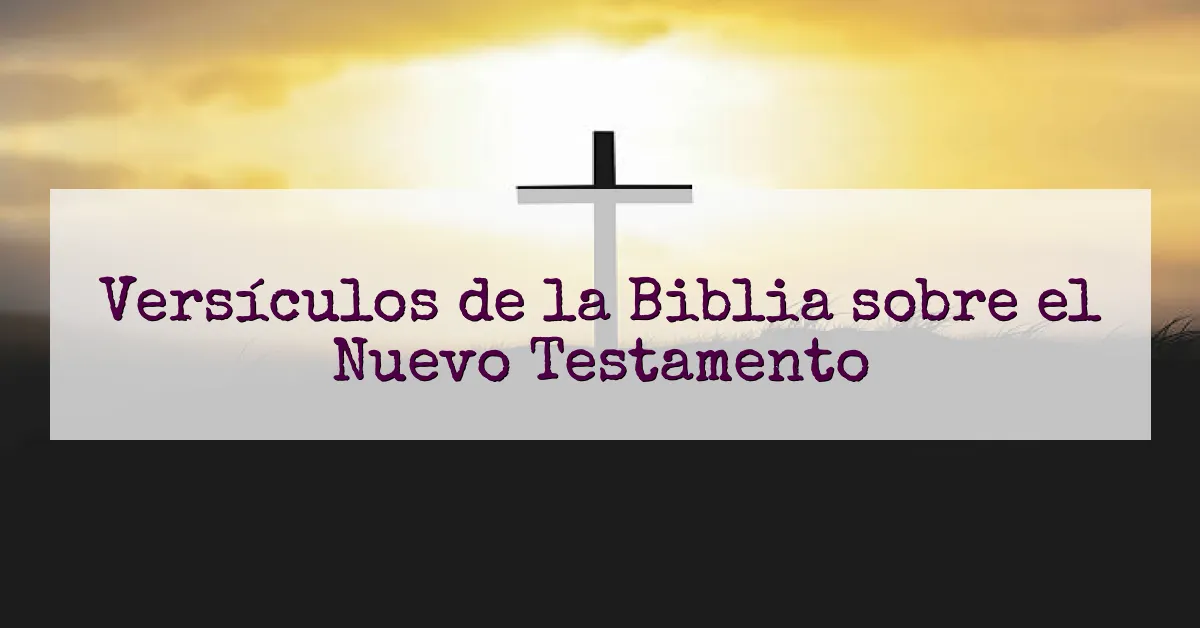 Versículos de la Biblia sobre el Nuevo Testamento