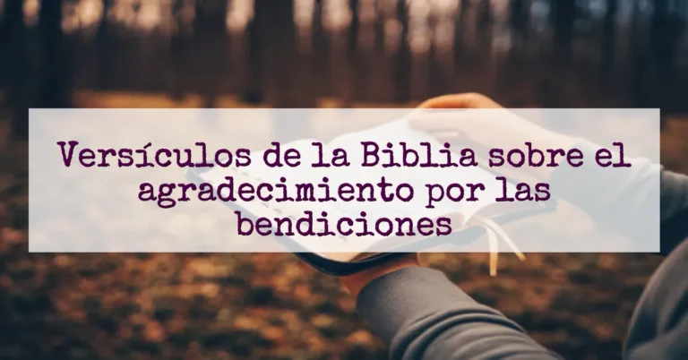 Versículos de la Biblia sobre el agradecimiento por las bendiciones