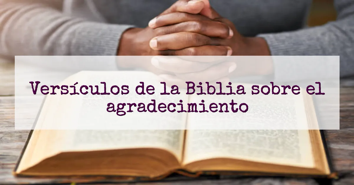 Versículos de la Biblia sobre el agradecimiento