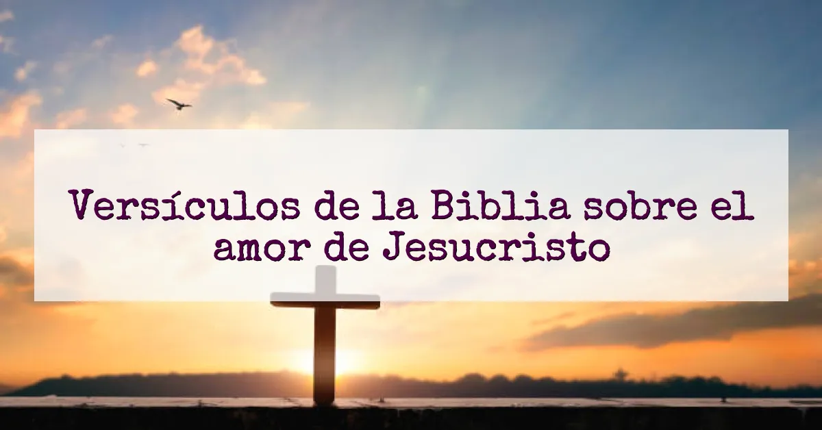 Versículos de la Biblia sobre el amor de Jesucristo
