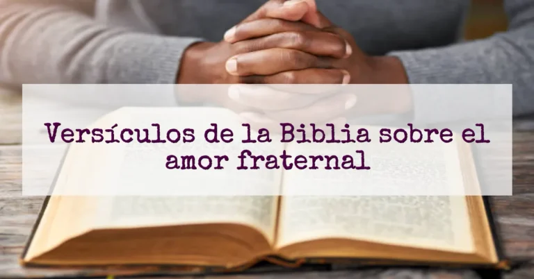 Versículos de la Biblia sobre el amor fraternal