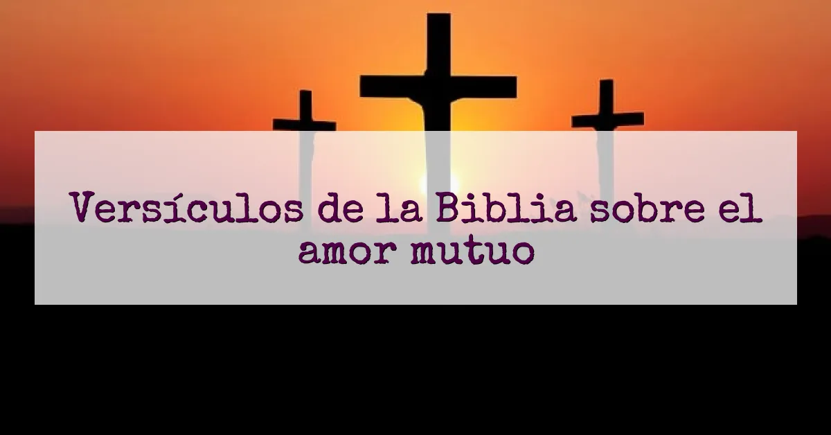 Versículos de la Biblia sobre el amor mutuo