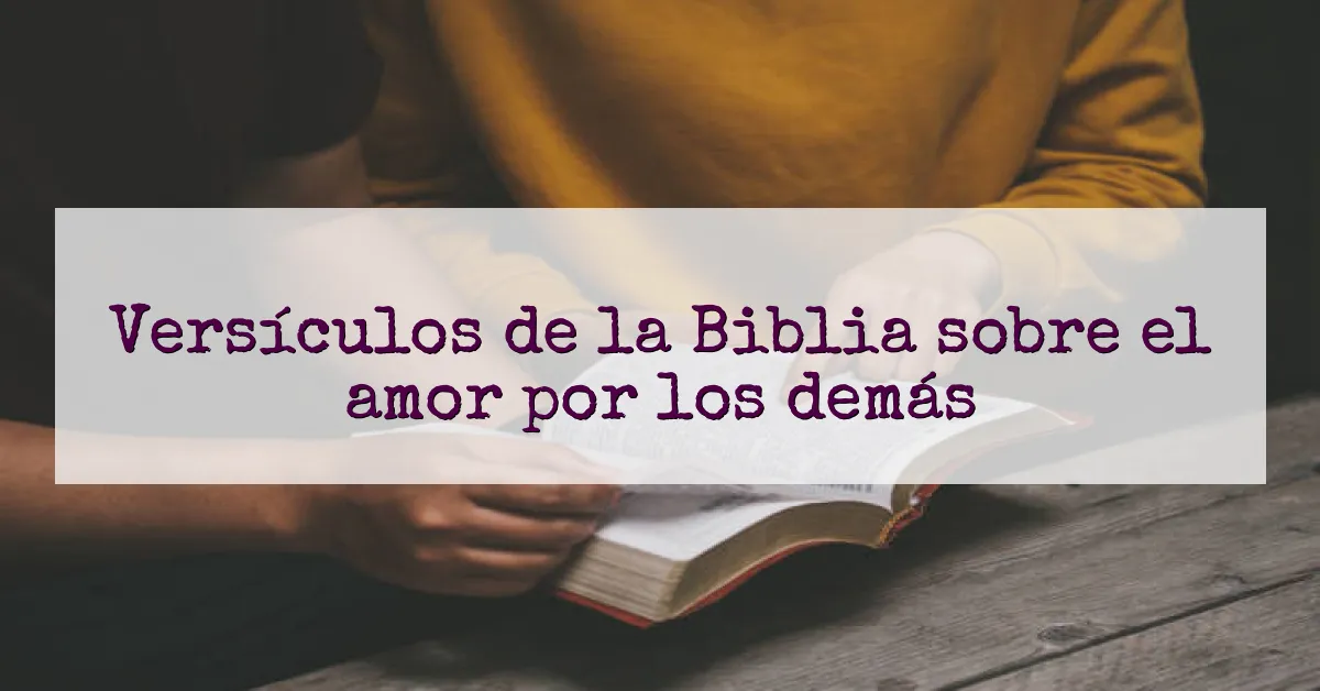 Versículos de la Biblia sobre el amor por los demás