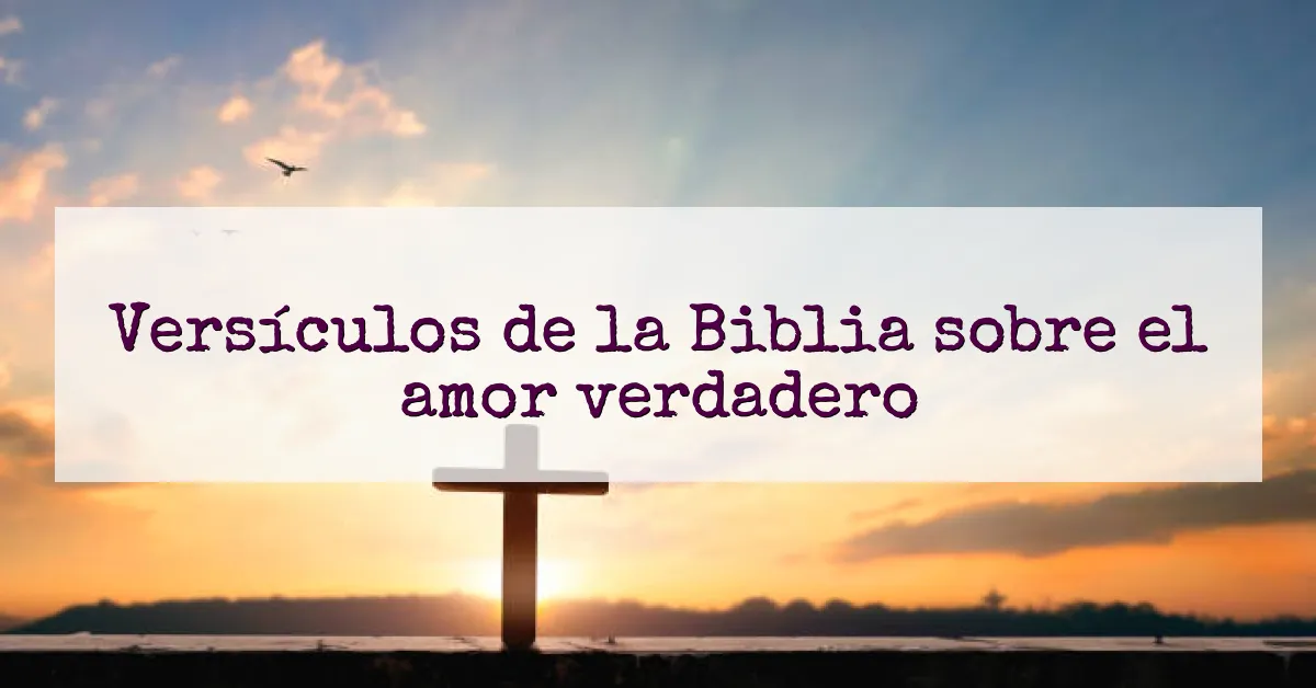 Versículos de la Biblia sobre el amor verdadero
