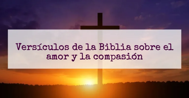 Versículos de la Biblia sobre el amor y la compasión