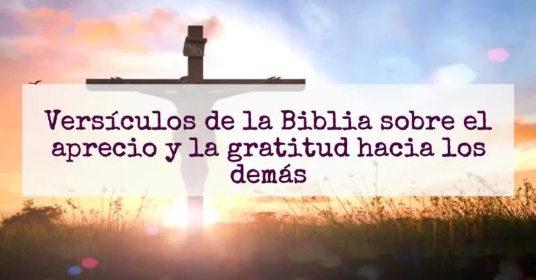 Versículos de la Biblia sobre el aprecio y la gratitud hacia los demás