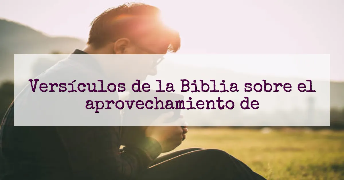 Versículos de la Biblia sobre el aprovechamiento de
