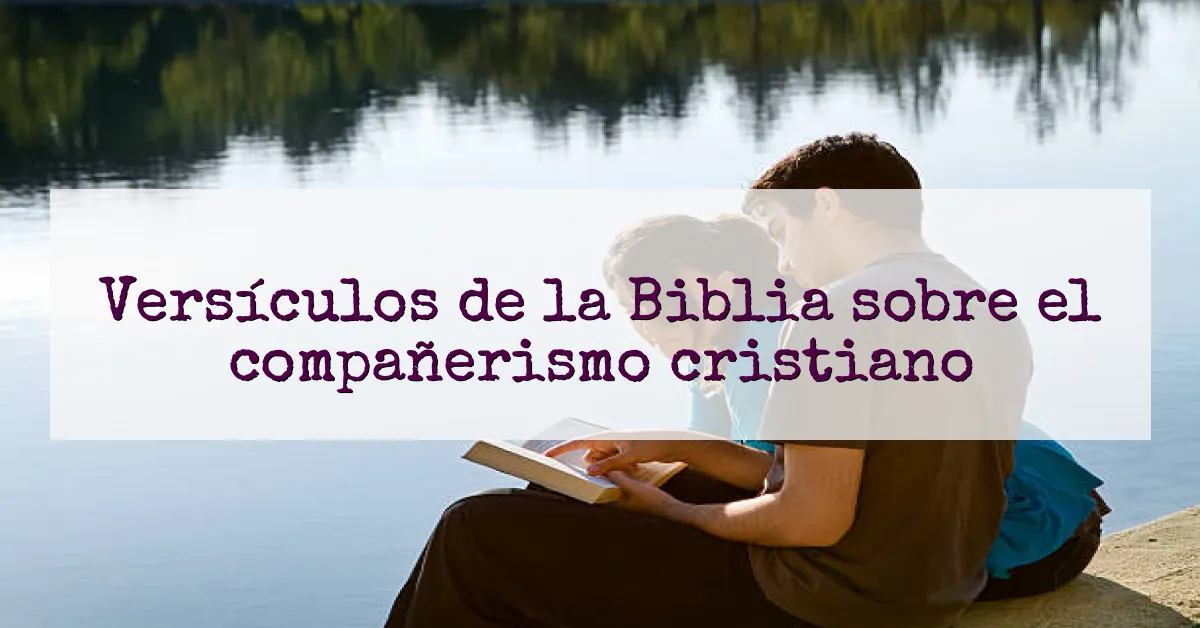 Versículos de la Biblia sobre el compañerismo cristiano