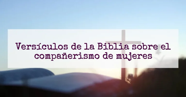 Versículos de la Biblia sobre el compañerismo de mujeres