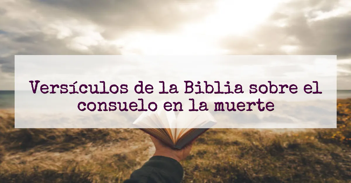 Versículos de la Biblia sobre el consuelo en la muerte