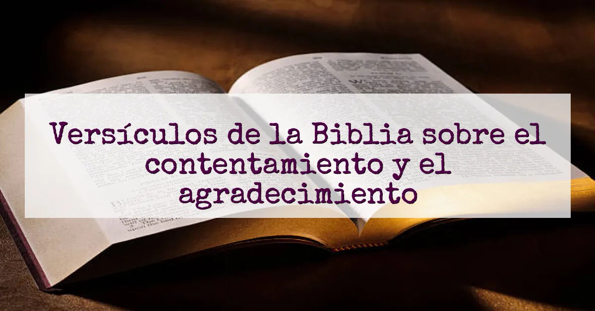 Versículos de la Biblia sobre el contentamiento y el agradecimiento