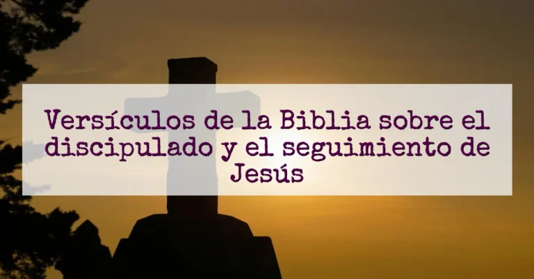 Versículos de la Biblia sobre el discipulado y el seguimiento de Jesús