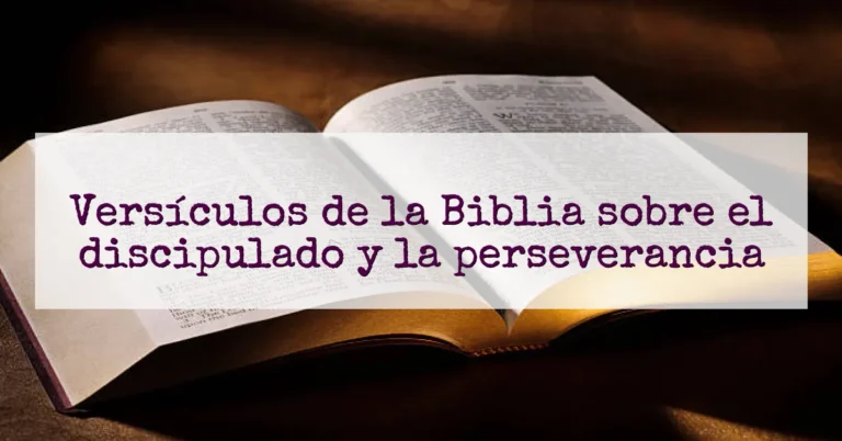 Versículos de la Biblia sobre el discipulado y la perseverancia