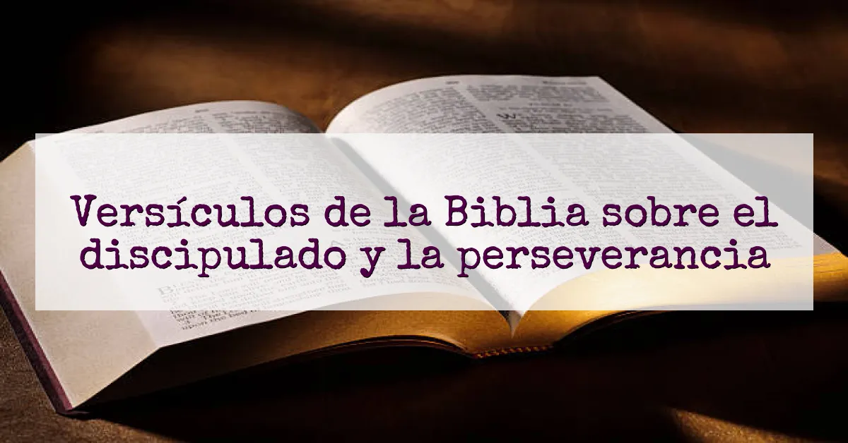 Versículos de la Biblia sobre el discipulado y la perseverancia