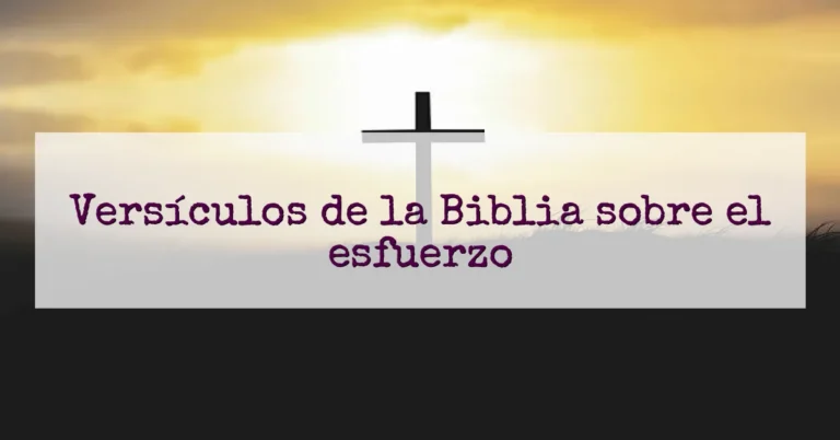 Versículos de la Biblia sobre el esfuerzo
