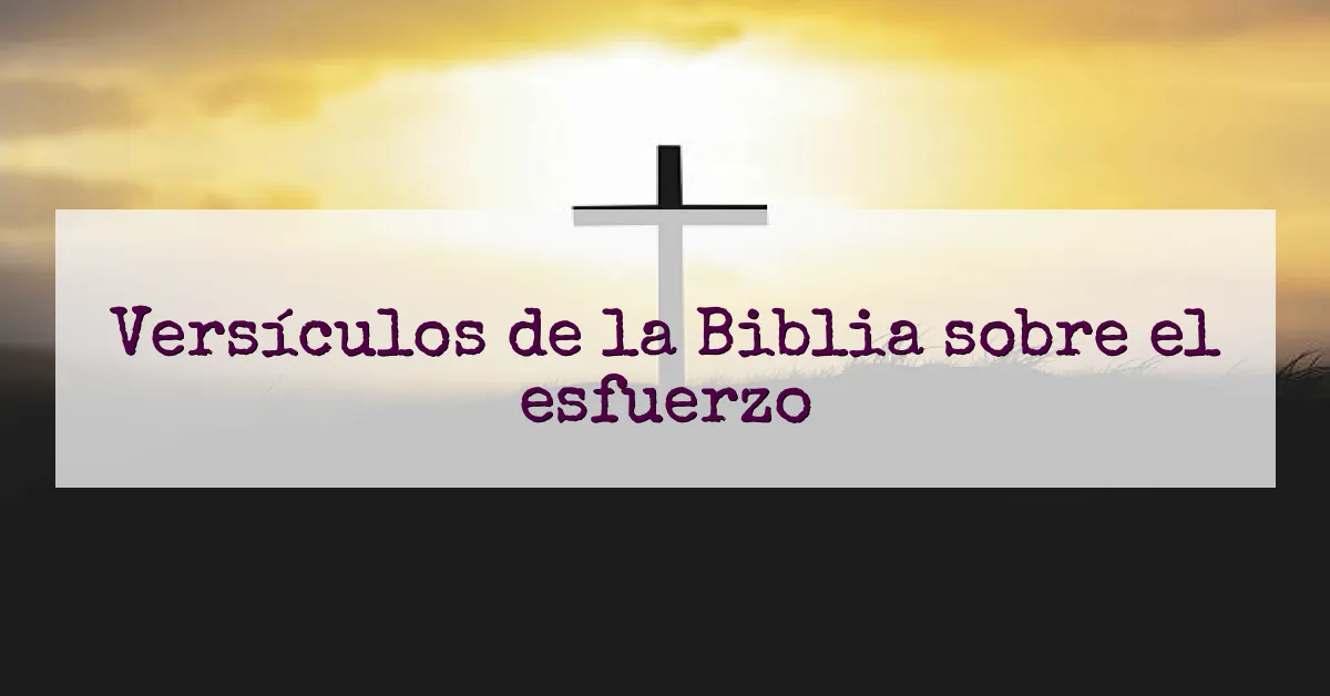 Versículos de la Biblia sobre el esfuerzo
