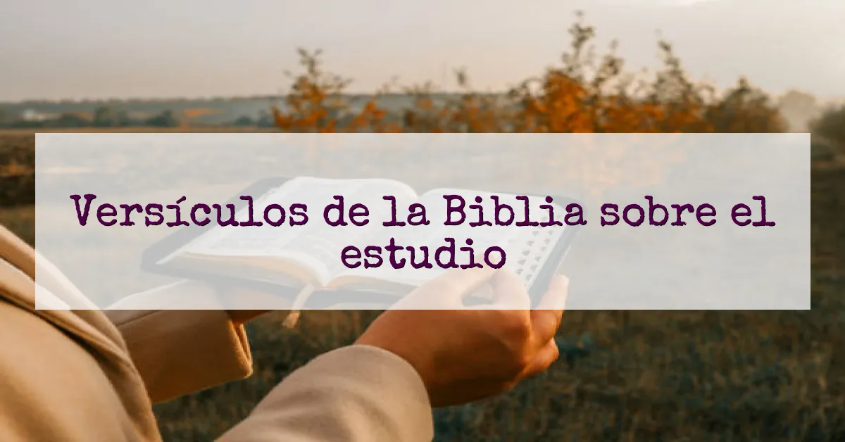 Versículos de la Biblia sobre el estudio