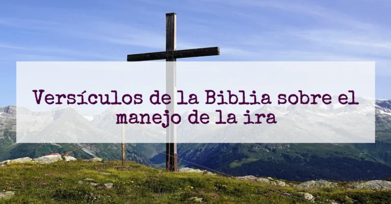 Versículos de la Biblia sobre el manejo de la ira