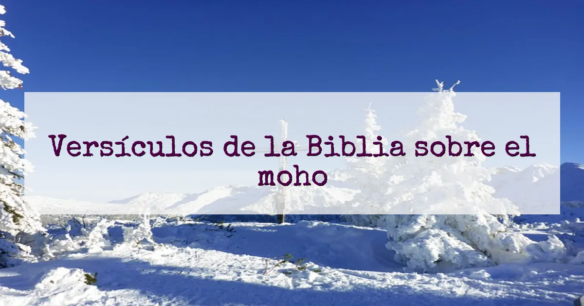Versículos de la Biblia sobre el moho