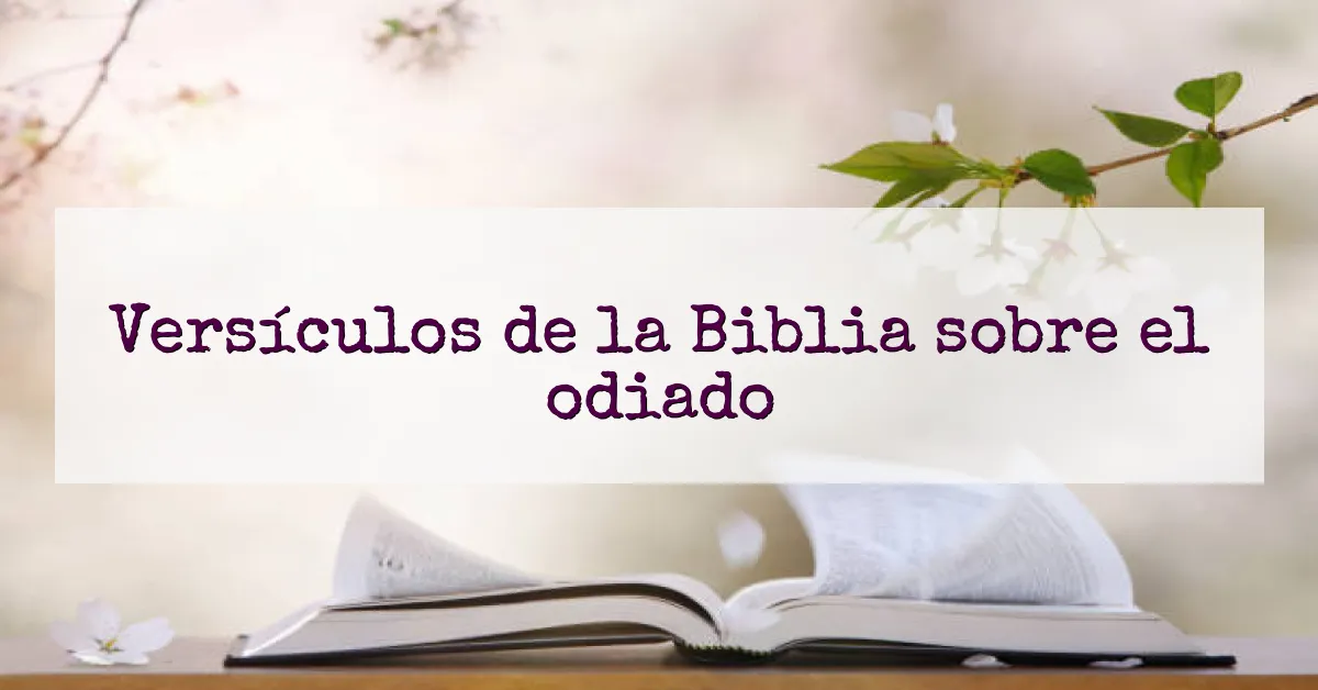 Versículos de la Biblia sobre el odiado