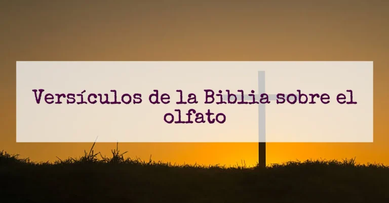 Versículos de la Biblia sobre el olfato