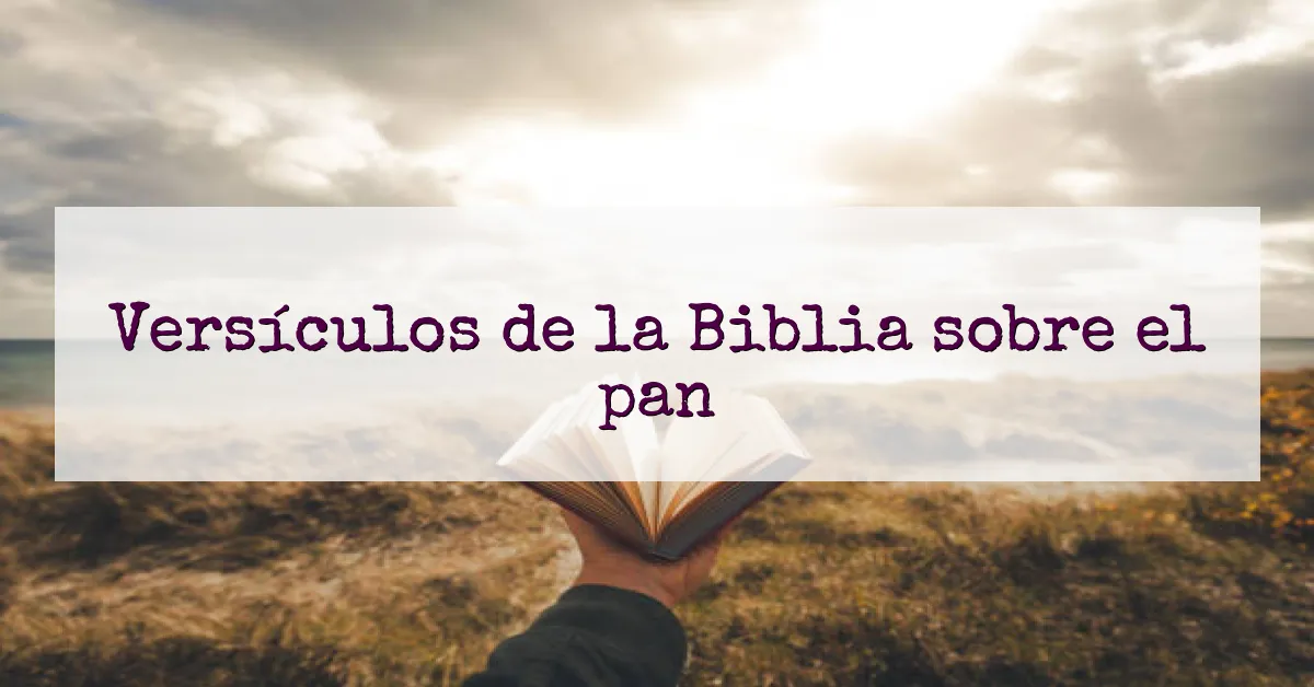 Versículos de la Biblia sobre el pan