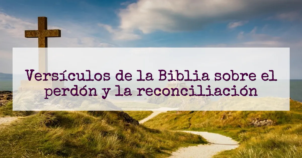 Versículos de la Biblia sobre el perdón y la reconciliación
