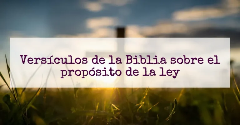 Versículos de la Biblia sobre el propósito de la ley