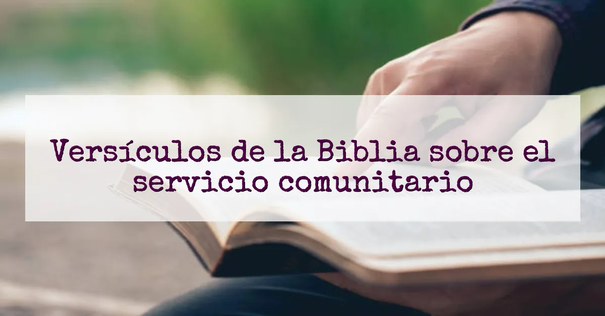 Versículos de la Biblia sobre el servicio comunitario