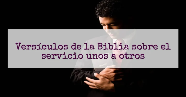 Versículos de la Biblia sobre el servicio unos a otros