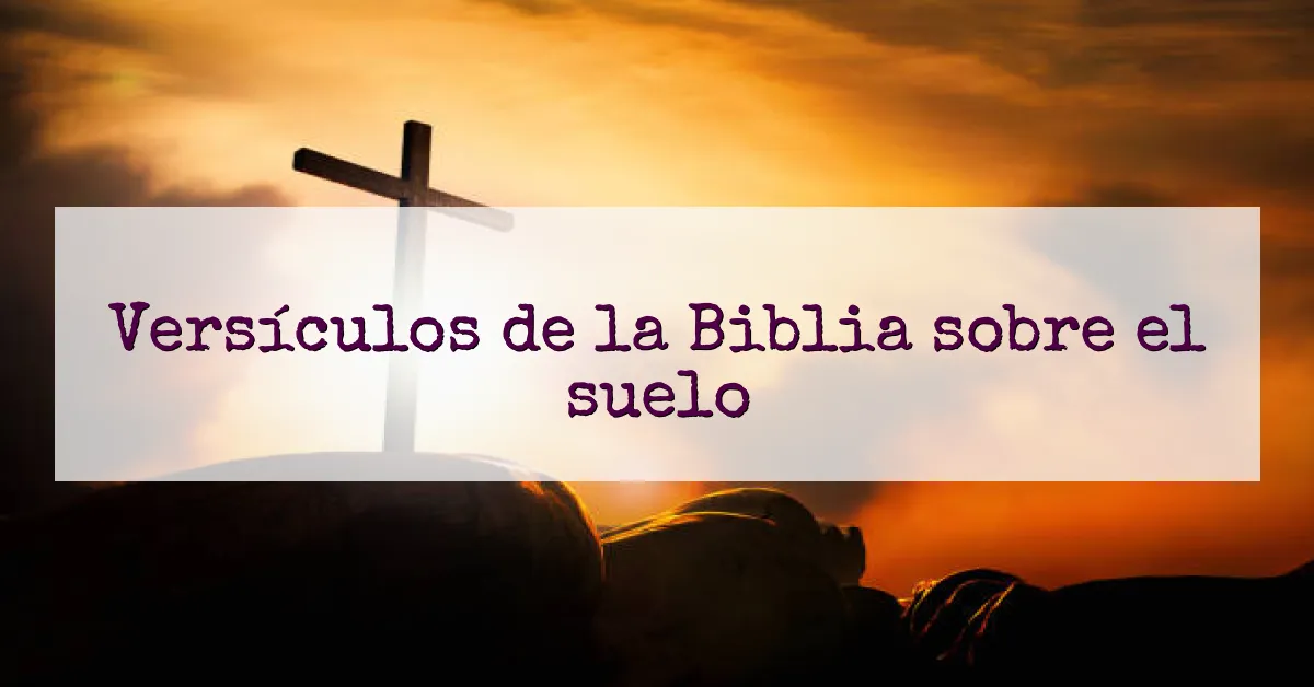 Versículos de la Biblia sobre el suelo