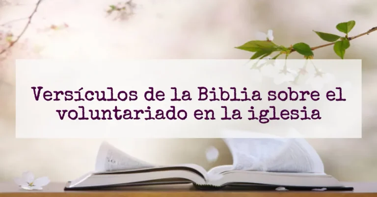 Versículos de la Biblia sobre el voluntariado en la iglesia