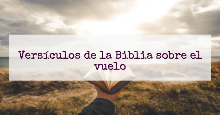 Versículos de la Biblia sobre el vuelo