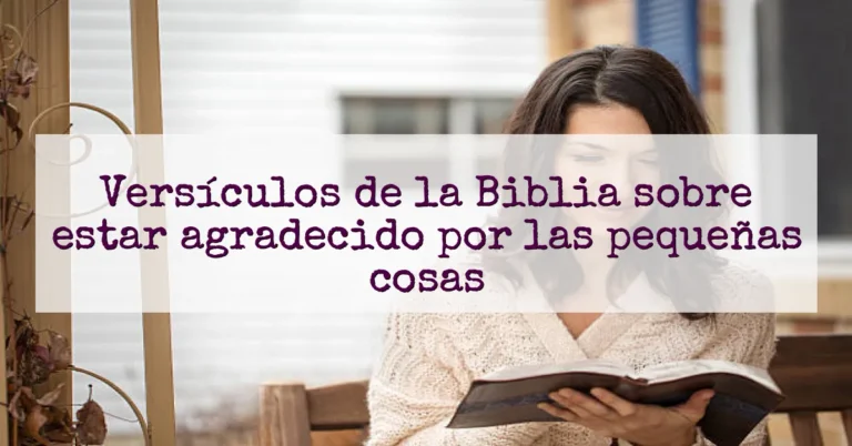 Versículos de la Biblia sobre estar agradecido por las pequeñas cosas