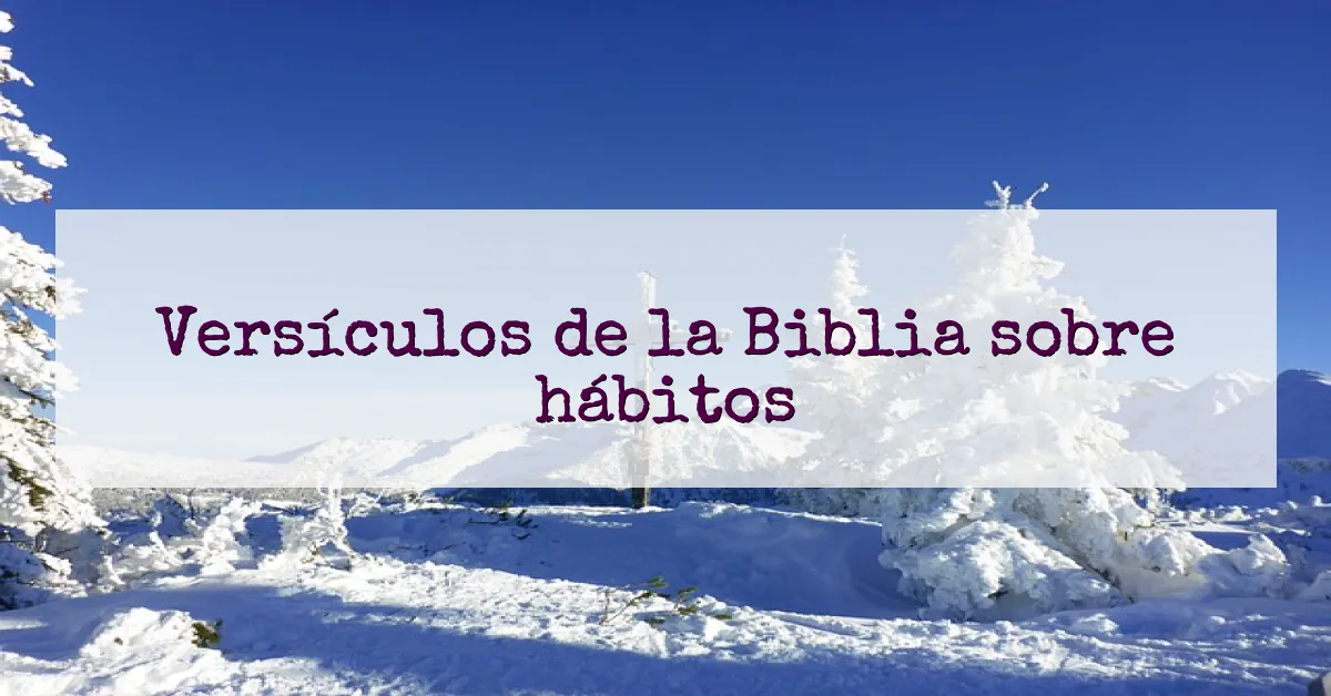 Versículos de la Biblia sobre hábitos