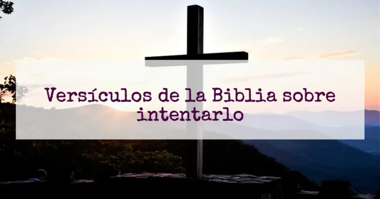 Versículos de la Biblia sobre intentarlo