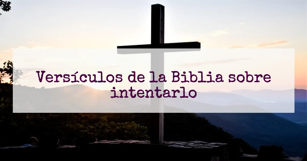 Versículos de la Biblia sobre intentarlo
