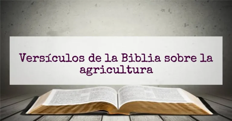 Versículos de la Biblia sobre la agricultura