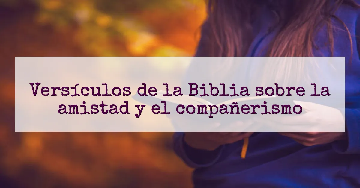 Versículos de la Biblia sobre la amistad y el compañerismo