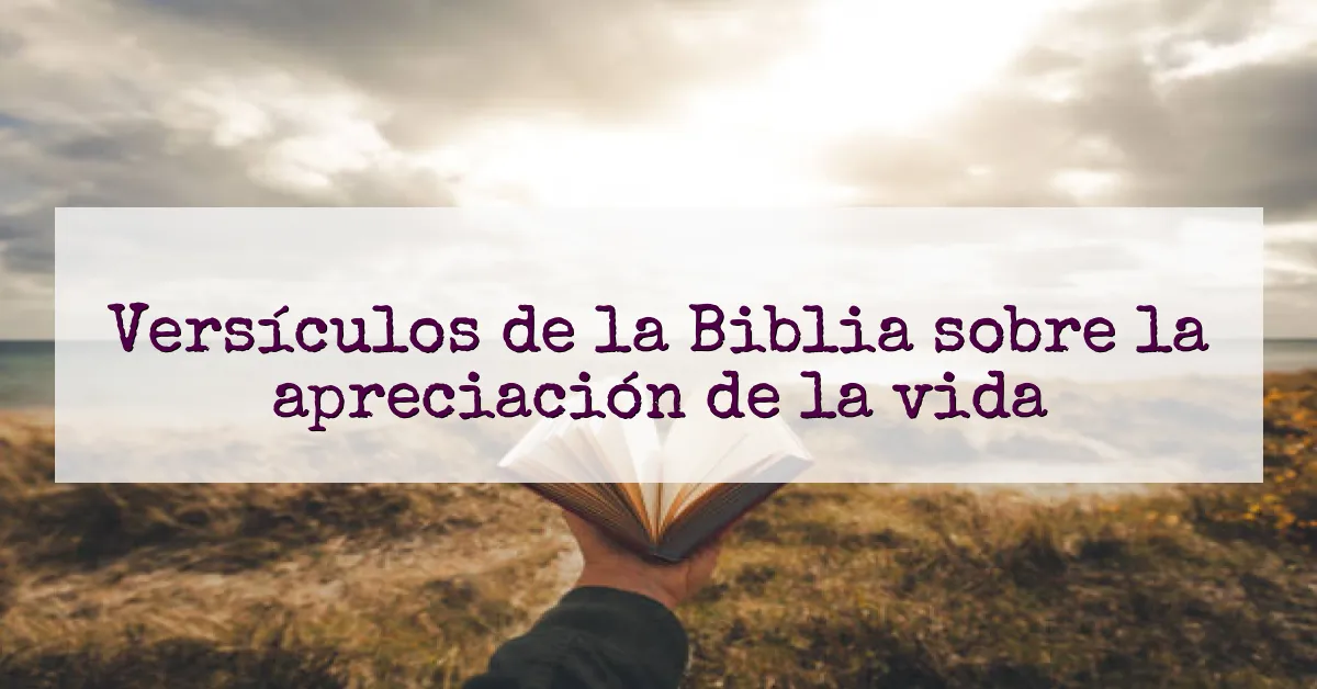 Versículos de la Biblia sobre la apreciación de la vida