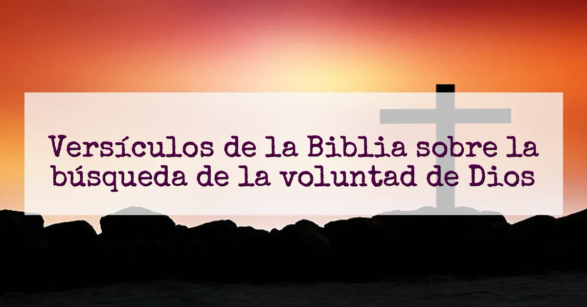 Versículos de la Biblia sobre la búsqueda de la voluntad de Dios