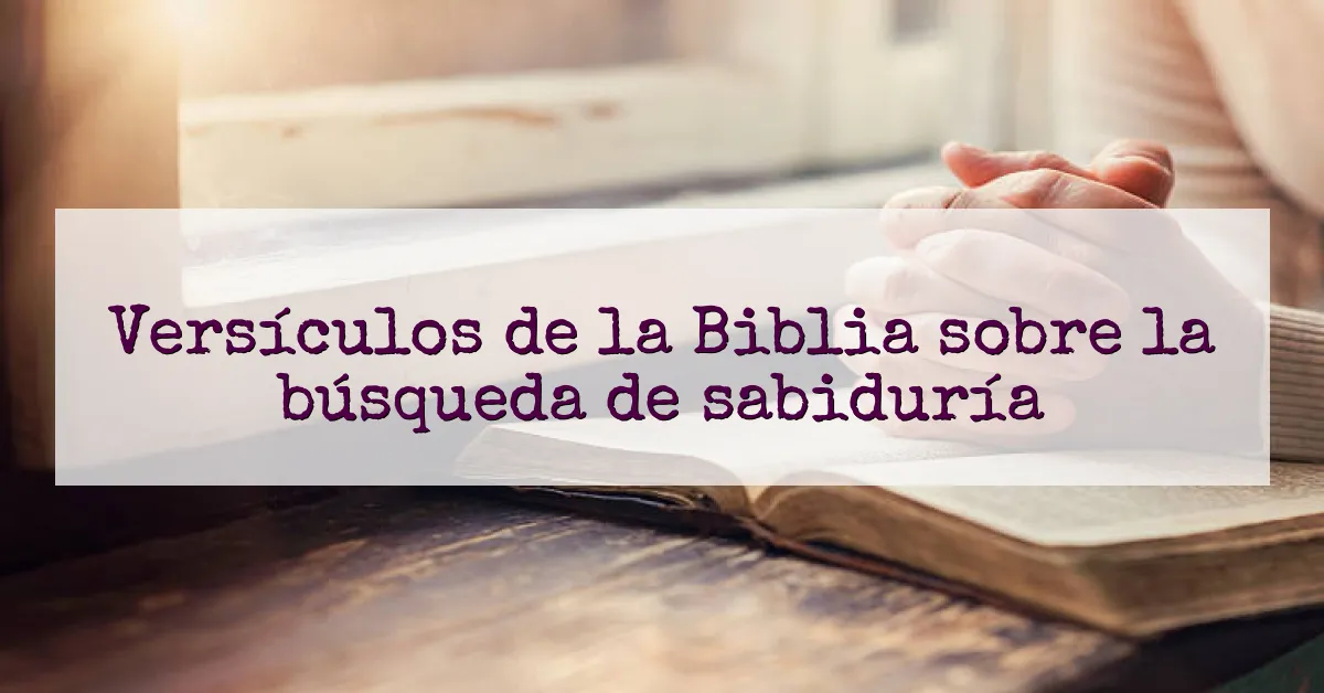 Versículos de la Biblia sobre la búsqueda de sabiduría