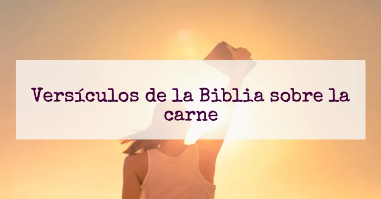 Versículos de la Biblia sobre la carne