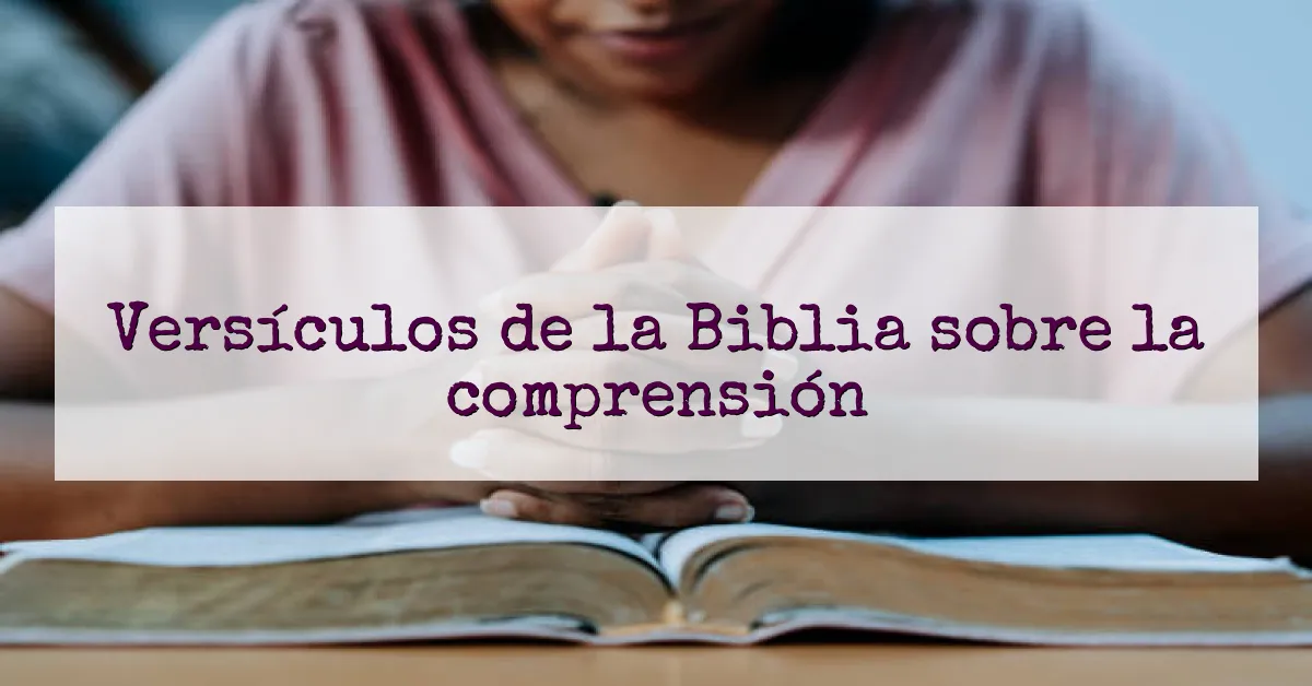 Versículos de la Biblia sobre la comprensión