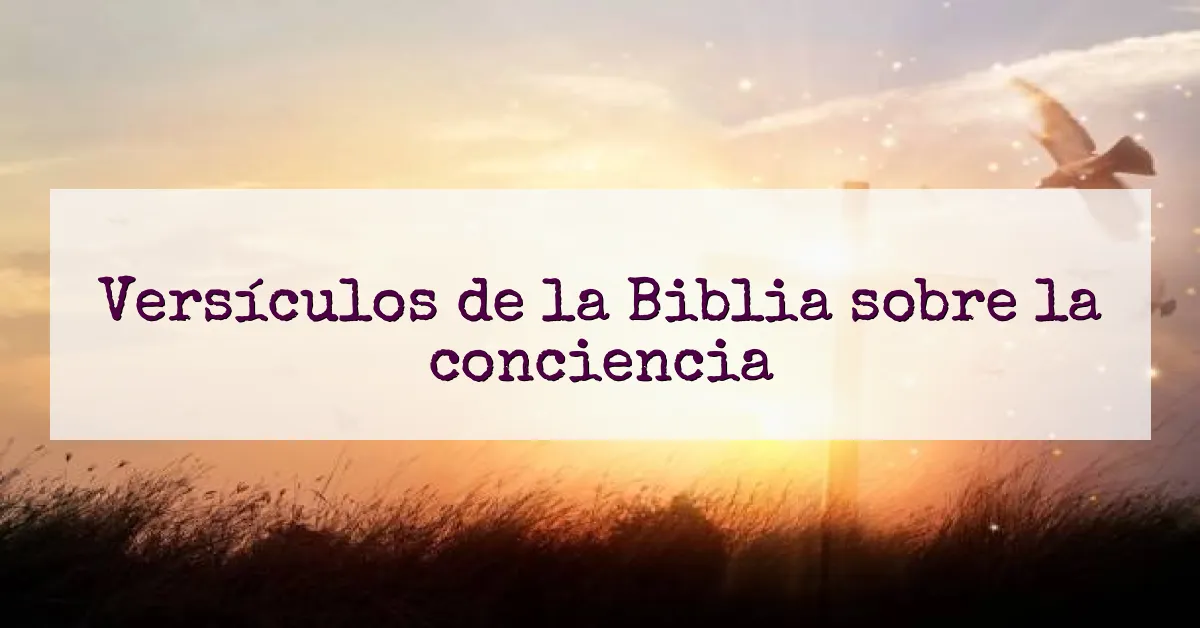 Versículos de la Biblia sobre la conciencia