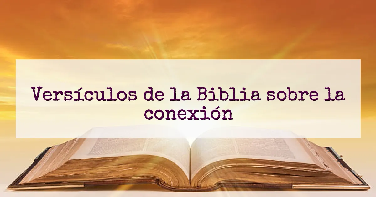Versículos de la Biblia sobre la conexión