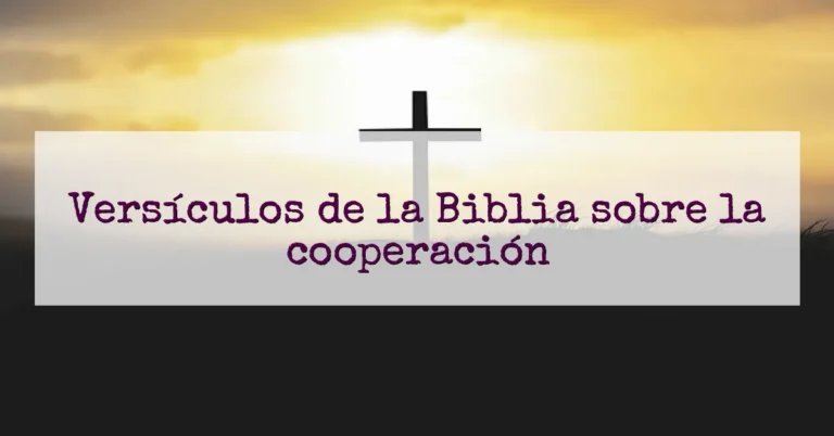 Versículos de la Biblia sobre la cooperación