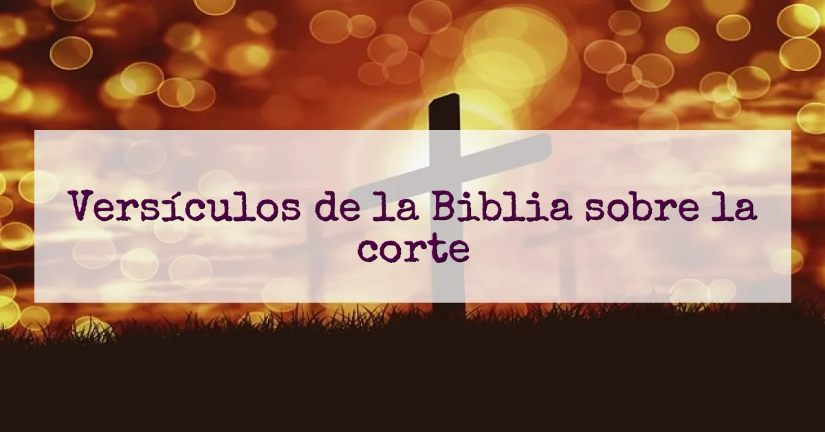 Versículos de la Biblia sobre la corte