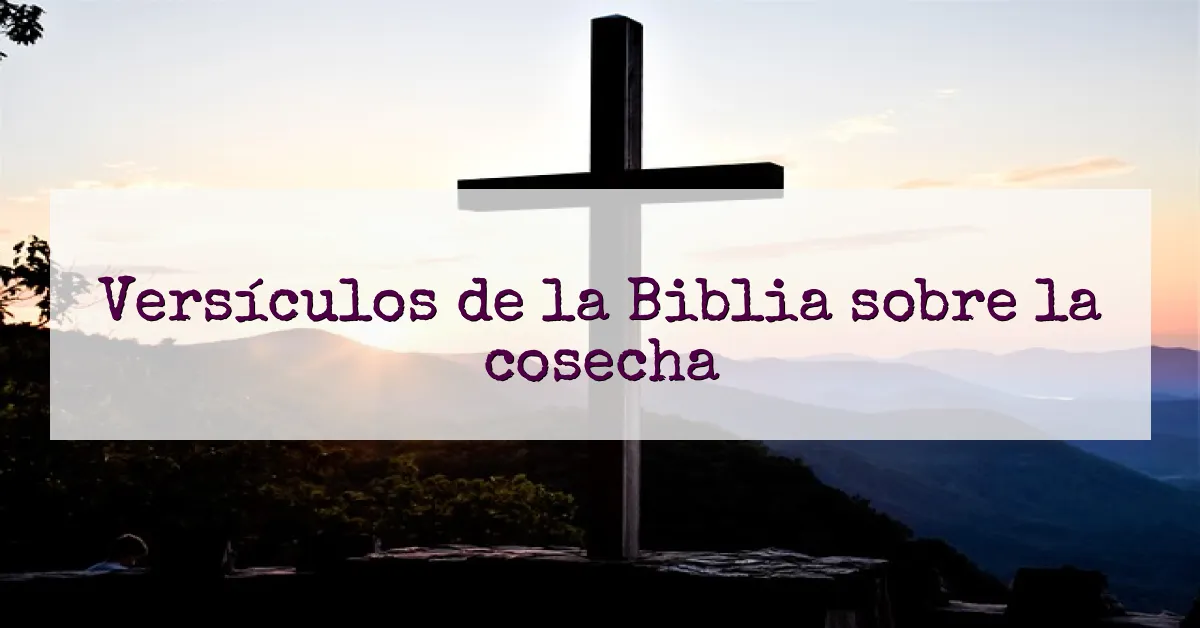Versículos de la Biblia sobre la cosecha